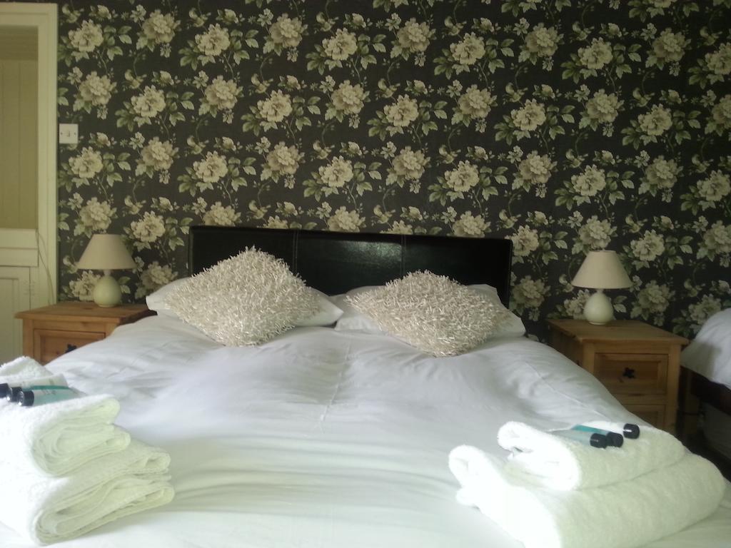 Red Lion Hotel Ystrad Meurig Kamer foto